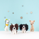 Explications de Lullabelle le cavalier king Charles