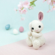 Explications d&#039;Augustin le lapin