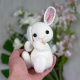 Explications d&#039;Augustin le lapin