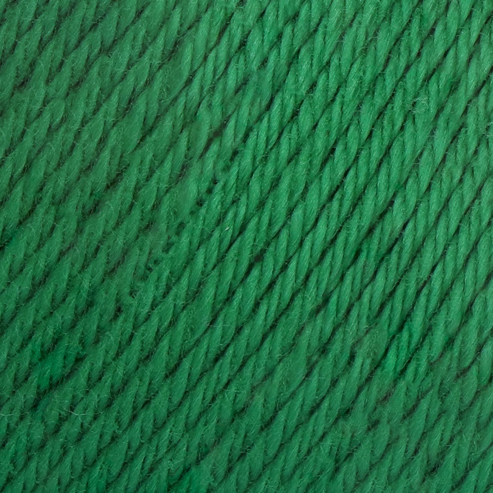 087 - Amazon (vert)