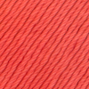 041 - Corail