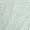 118 - Yucca bleu