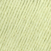 122 - Citron vert